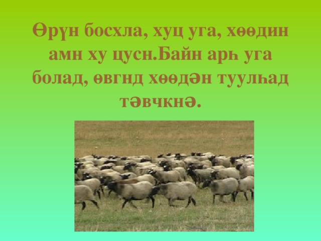 Өрүн босхла, хуц уга, хөөдин амн ху цусн.Байн арһ уга болад, өвгнд хөөдəн туулһад тəвчкнə. 