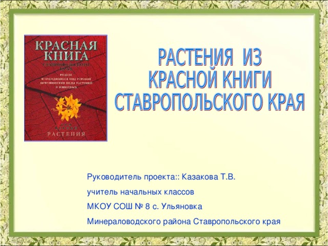 Проект красная книга ставропольского края 2 класс окружающий мир