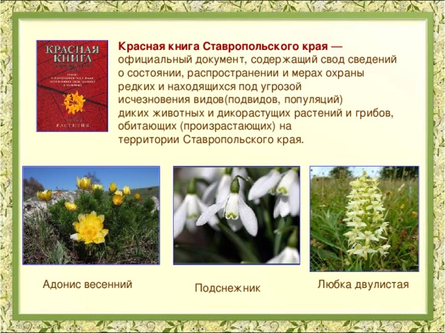 Презентация "Красная книга Орловской области"