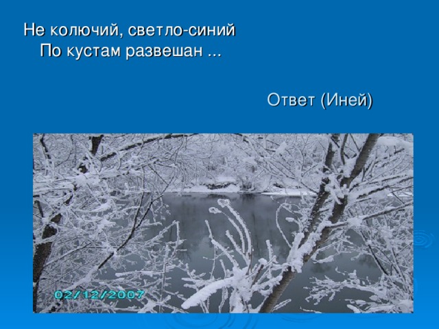 Иней словарное. Загадка про иней для детей. Загадки про изморозь. Не колючий светло-синий по кустам. Не колючий светло-синий.