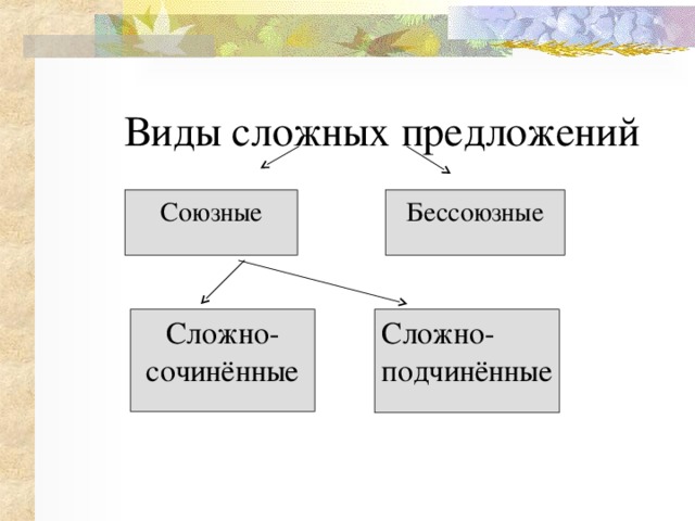 Виды сложных предложений 9 класс презентация