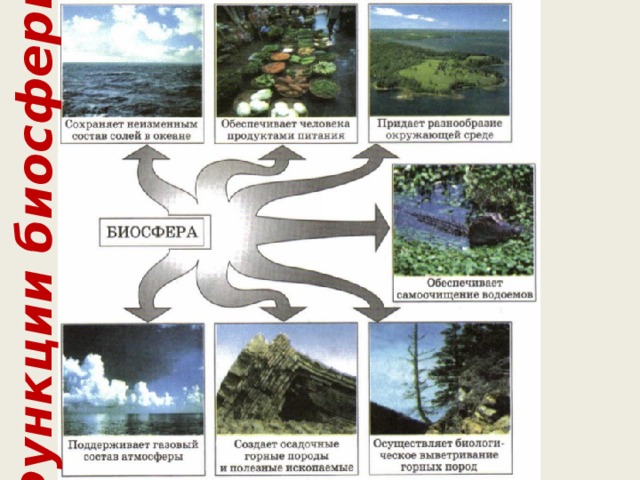 Нарисуйте схему связи биосферы с другими оболочками земли