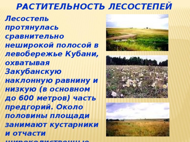 Кубановедение 4 класс презентация природные зоны краснодарского края