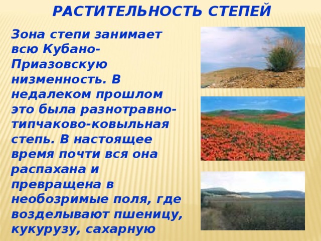 Кубановедение 4 класс презентация природные зоны краснодарского края