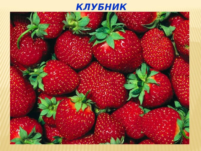 КЛУБНИКА 