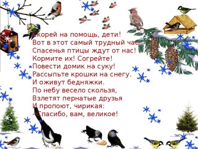 Спасите птиц зимой проект 2 класс