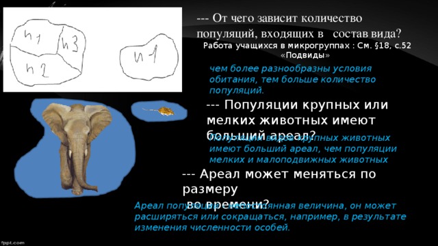 Две популяции одного вида пример