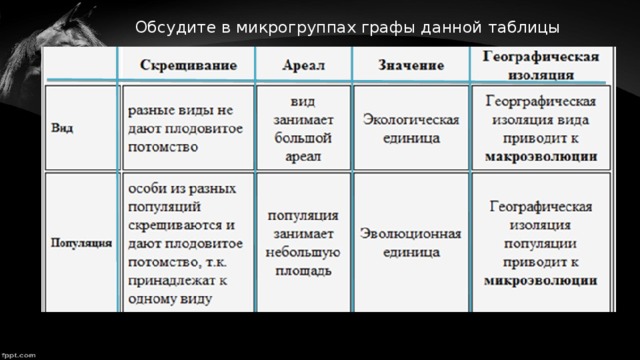 Обсудите в классе такую идею не нужно знать грамматику программа покажет все ошибки