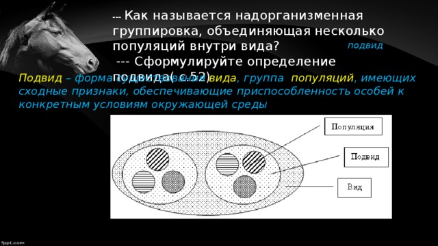 Вид и подвид. Популяционная структура вида. Подвид. Подвид примеры. Структура биологического вида. Таблица 2 структура вида популяции подвиды.