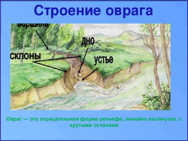 Охарактеризуйте природный комплекс оврага по плану