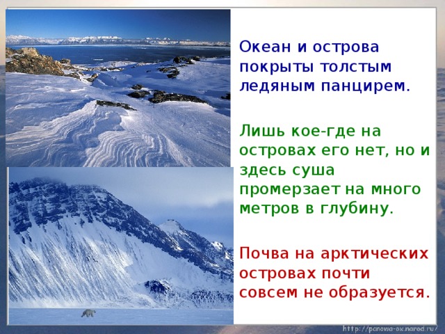  Океан и острова покрыты толстым ледяным панцирем.  Лишь кое-где на островах его нет, но и здесь суша промерзает на много метров в глубину.  Почва на арктических островах почти совсем не образуется. 