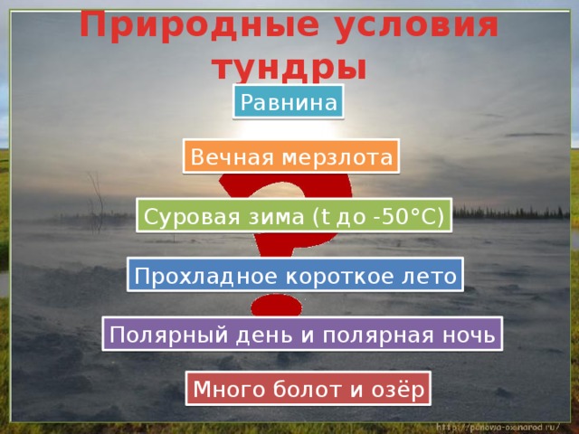 План по тундре