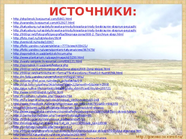 Охрана природы степей. Загадки на тему зона степей. Вопросы по теме зона степей. Зона степей план. Правила передвижения в зоне степей.