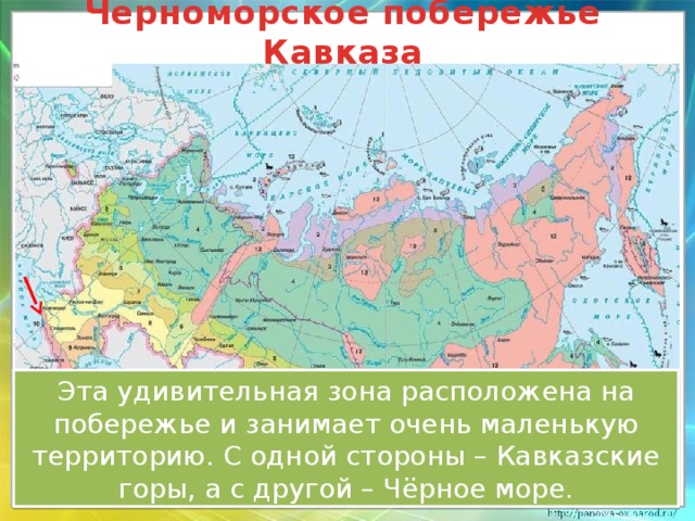 Черноморское побережье Кавказа Эта удивительная зона расположена на побережье и занимает очень маленькую территорию. С одной стороны – Кавказские горы, а с другой – Чёрное море. 