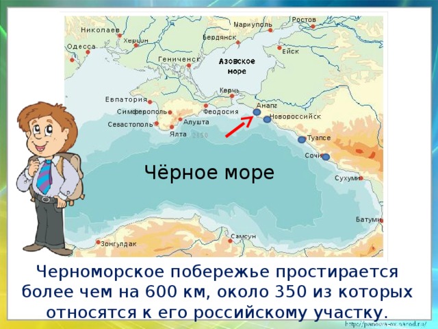 Чёрное море Черноморское побережье простирается более чем на 600 км, около 350 из которых относятся к его российскому участку. 