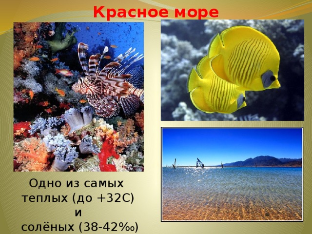 Проект красное море почему оно такого цвета Разработка открытого урока по географии " Географическое положение Африки"