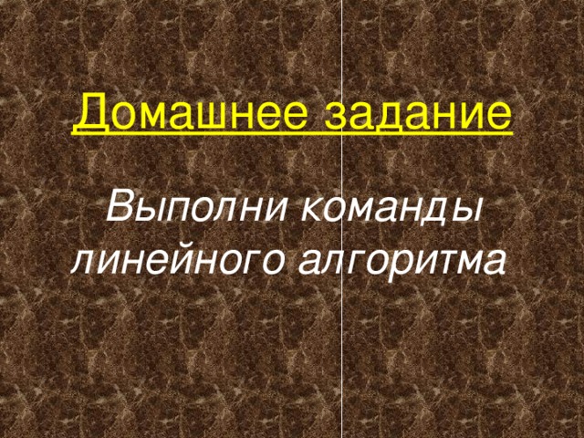      Домашнее задание   Выполни команды линейного алгоритма  