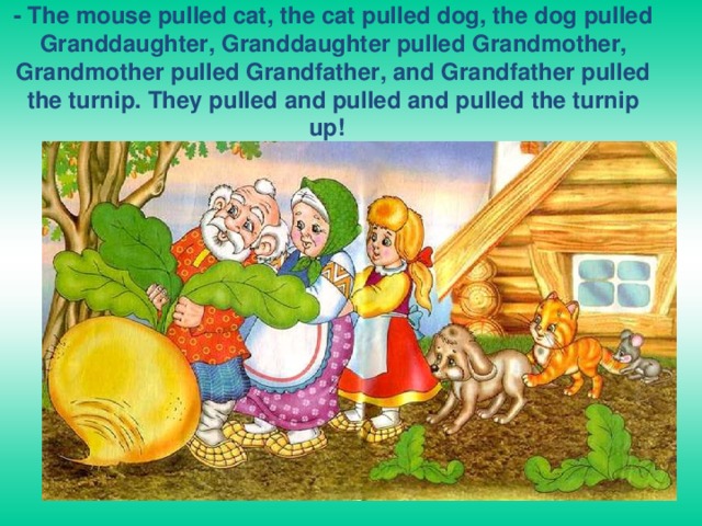 - The mouse pulled cat, the cat pulled dog, the dog pulled Granddaughter, Granddaughter pulled Grandmother, Grandmother pulled Grandfather, and Grandfather pulled the turnip. They pulled and pulled and pulled the turnip up! 