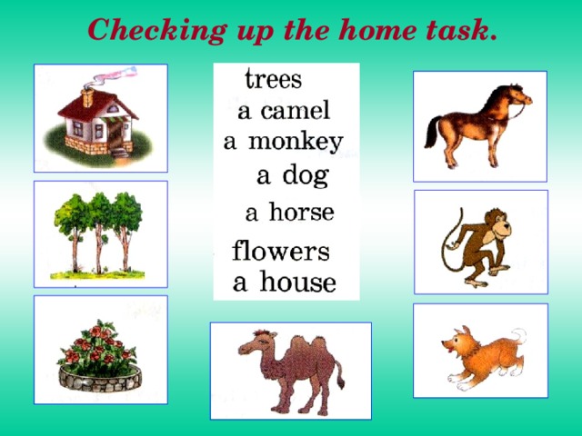 Why your home task not do. Home task. Checking up the Home task ie igh y.