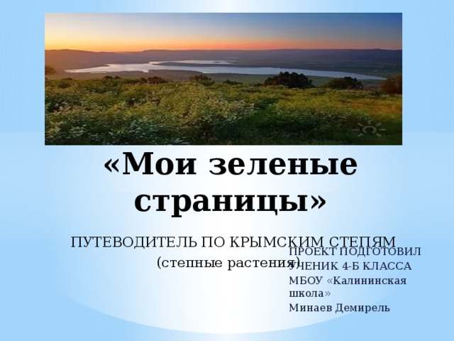 Проект по окружающему миру 4 класс мои зеленые страницы