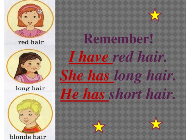  Remember! I have red hair. She has long hair. He has short hair. 
