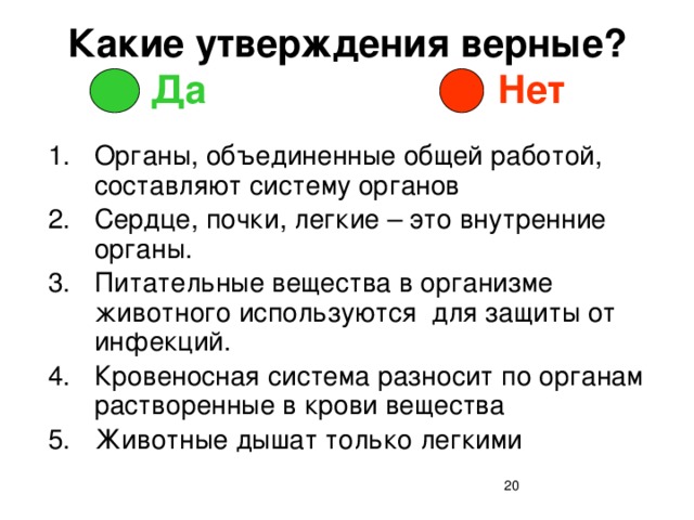 Органы объединения. Верные утверждение почек. Утверждения про почки. Верные утверждения о животном организме. Связанные между собой органы Объединённые общей работой составляют.