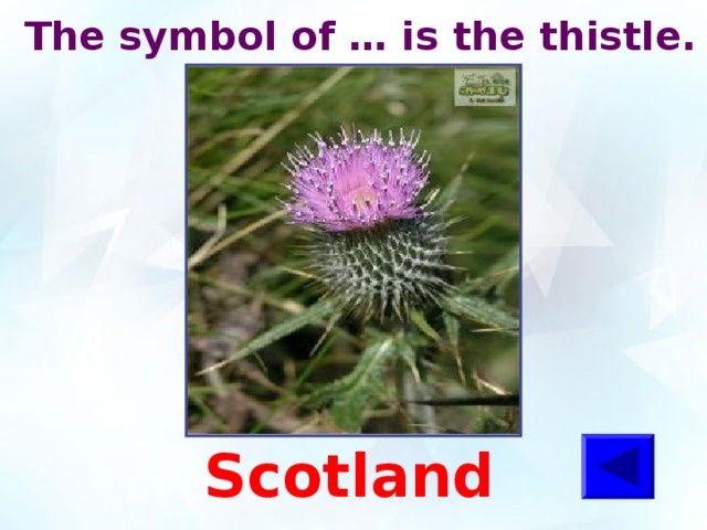  The symbol of … is the thistle.   Scotland 