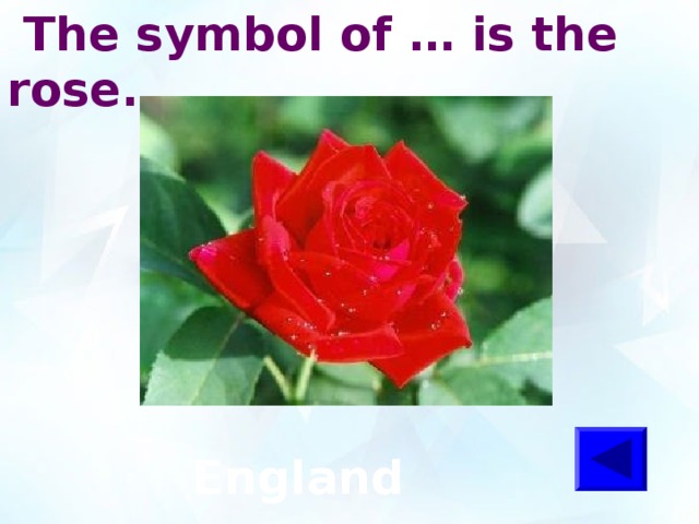  The symbol of … is the rose.   England 