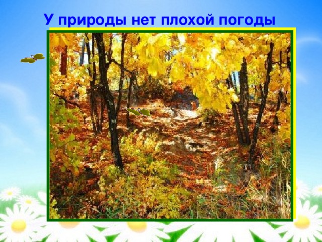 У природы нет плохой погоды фото