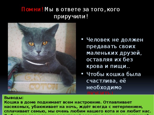 Проект ты всегда в ответе за тех кого приручил