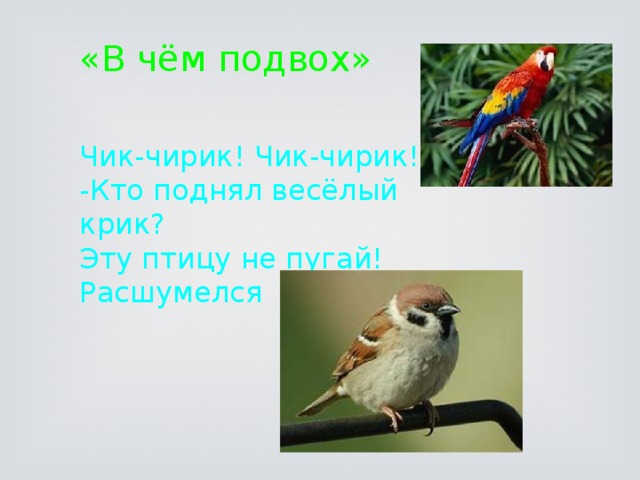 «В чём подвох» Чик-чирик! Чик-чирик! -Кто поднял весёлый крик? Эту птицу не пугай! Расшумелся … 