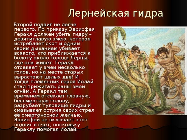  Лернейская гидра  Второй подвиг не легче первого. По приказу Эврисфея Геракл должен убить гидру – девятиглавую змею, которая истребляет скот и одним своим дыханием убивает всякого, кто приближается к болоту около города Лерны, где она живёт. Геракл отсекает у змеи несколько голов, но на месте старых вырастают целых две! И тогда племянник героя Иолай стал прижигать раны змеи огнём. А Геракл тем временем отсекает главную, бессмертную голову, разрубает туловище гидры и смазывает острия своих стрел её смертоносной желчью. Эврисфей не включает этот подвиг в счёт, поскольку Гераклу помогал Иолай. 