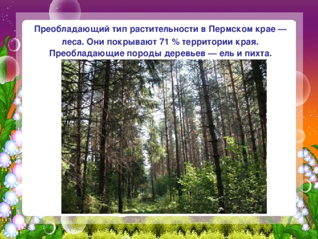  Преобладающий тип растительности в Пермском крае — леса. Они покрывают 71 % территории края. Преобладающие породы деревьев — ель и пихта. 