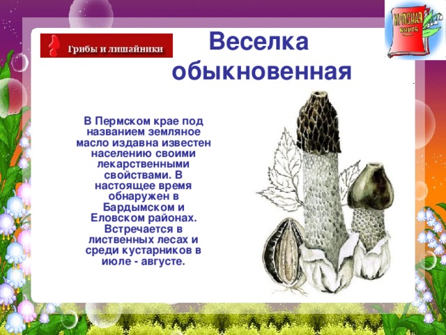 Веселка  обыкновенная  В Пермском крае под названием земляное масло издавна известен населению своими лекарственными свойствами. В настоящее время обнаружен в Бардымском и Еловском районах. Встречается в лиственных лесах и среди кустарников в июле - августе. 