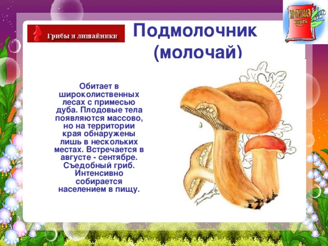 Подмолочник  (молочай)  Обитает в широколиственных лесах с примесью дуба. Плодовые тела появляются массово, но на территории края обнаружены лишь в нескольких местах. Встречается в августе - сентябре. Съедобный гриб. Интенсивно собирается населением в пищу. 