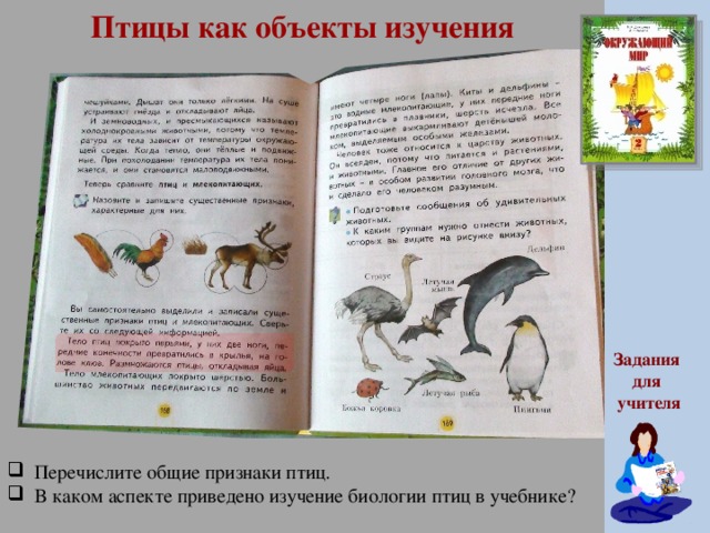 Птицы учебник