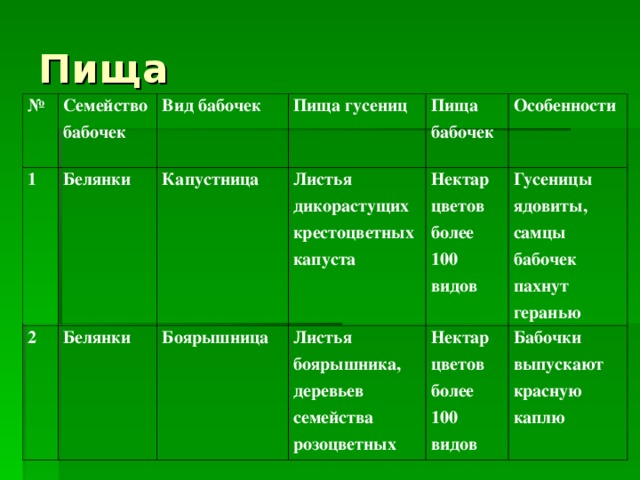 Особенности строения образа жизни. Способ добывания пищи гусеницы. Способ добывания пищи личинки бабочки. Способ добычи пищи бабочки. Способ добывания пищи у гусеницы и у бабочки.