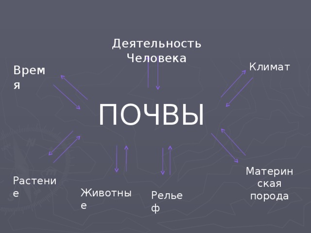Деятельность  Человека Климат Время ПОЧВЫ Материнская порода Растение Животные Рельеф 