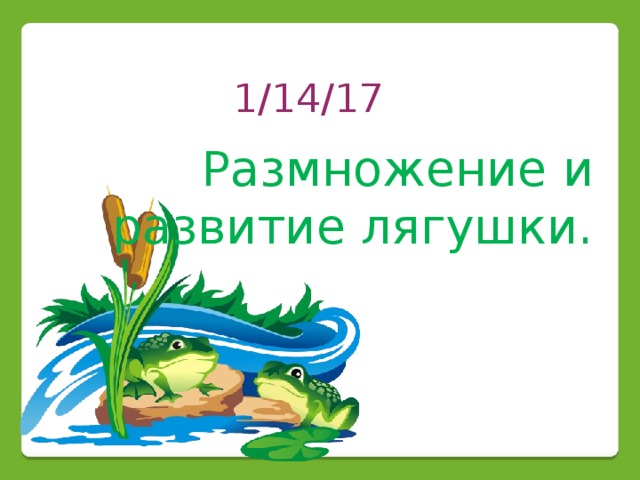 Размножение земноводных презентация 7 класс. Земноводные ЕГЭ презентация.