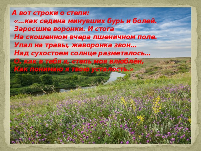 Поле отзывов. Стихи про степь. Стихи о степи для детей. Стихотворение про степь для детей. Красивые стихи о степи.