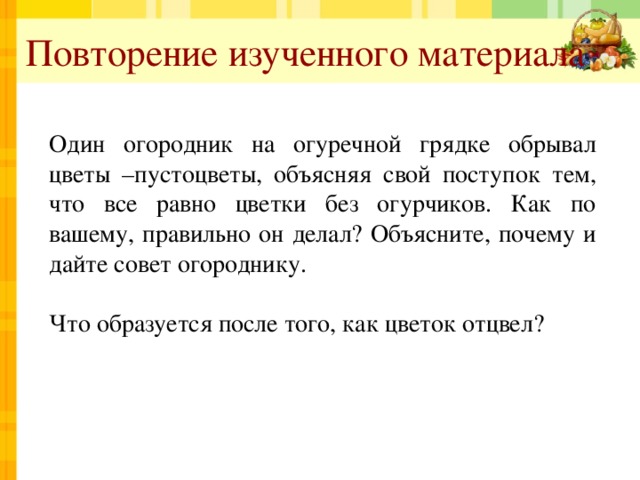 Повторение изученного материала Один огородник на огуречной грядке обрывал цветы –пустоцветы, объясняя свой поступок тем, что все равно цветки без огурчиков. Как по вашему, правильно он делал? Объясните, почему и дайте совет огороднику. Что образуется после того, как цветок отцвел? 
