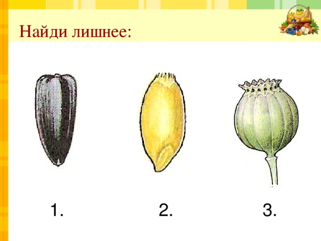 Найди лишнее:  1. 2. 3. 