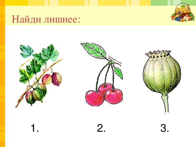 Найди лишнее:  1. 2. 3. 