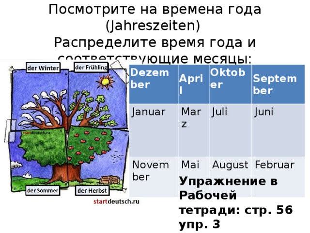 Упражнение в Рабочей тетради: стр. 56 упр. 3  Посмотрите на времена года ( Jahres z eiten )  Распределите время года и соответствующие месяцы: Dezember  April J anuar Marz Oktober  November September Juli Mai Juni August Februar 