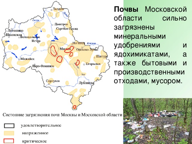 Осадки озеры. Почвы Москвы и Московской области.