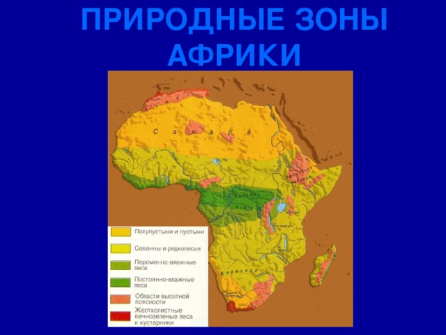 Природная зона саванна презентация
