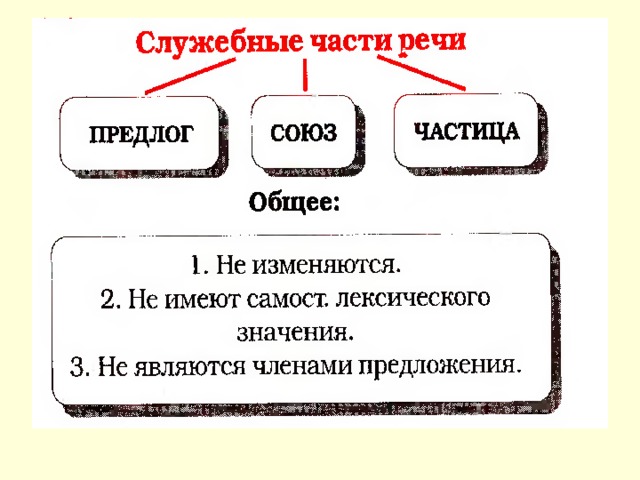 Проект на тему служебные части речи 7 класс