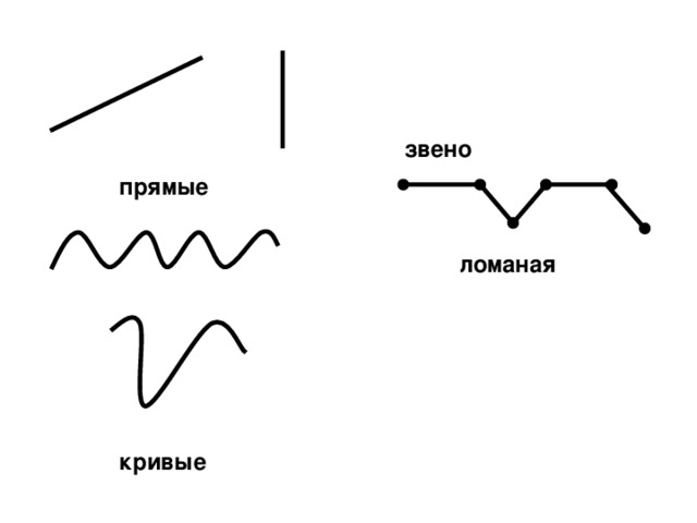 Кривая прямая. Ломаная кривая. Прямые кривые и ломаные линии. Прямая кривая ломаная. Прямые ,коивве,ломанные линии.