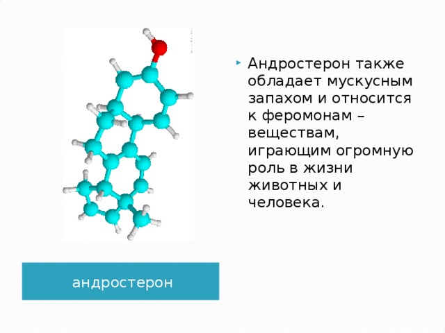 Также обладаю. Андростерон. Строение андростерона. Андростерон формула. Андростерон биологическая роль.