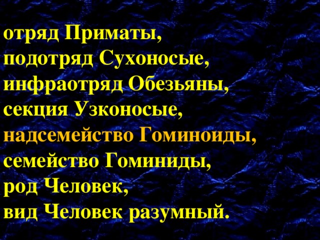 отряд Приматы,  подотряд Сухоносые,  инфраотряд Обезьяны,  секция Узконосые,  надсемейство Гоминоиды,  семейство Гоминиды,  род Человек,  вид Человек разумный. 